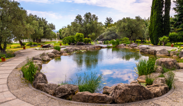 AIM-Pond